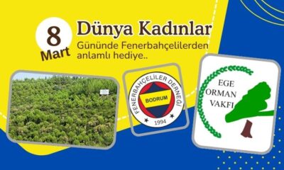 bodrum fenerbahceliler dernegi haber