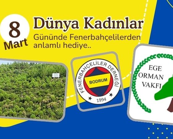 bodrum fenerbahceliler dernegi haber