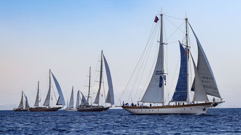 bodrum cup 1 1