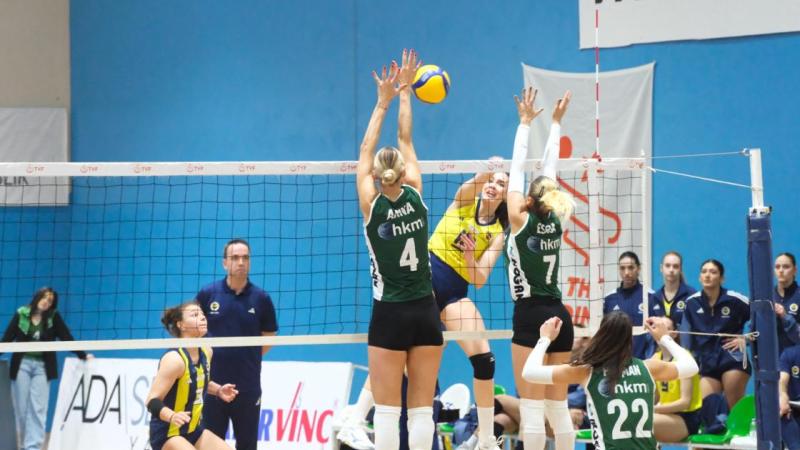 bodrumspor fenerbahce 2