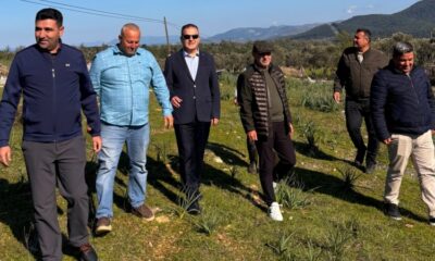 bodrum fk tesislesme 1