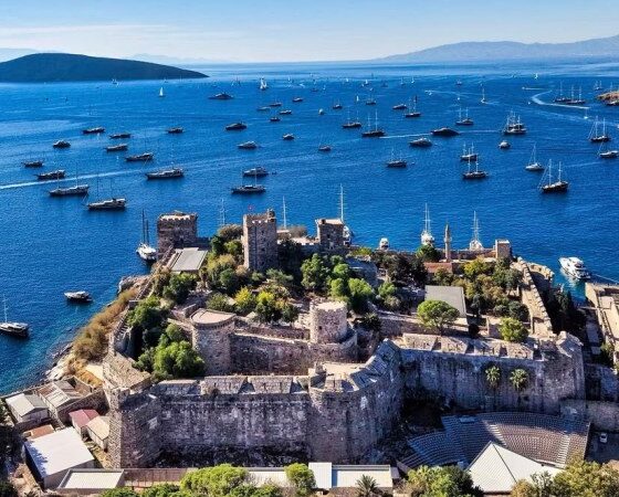 bodrum cup kapak