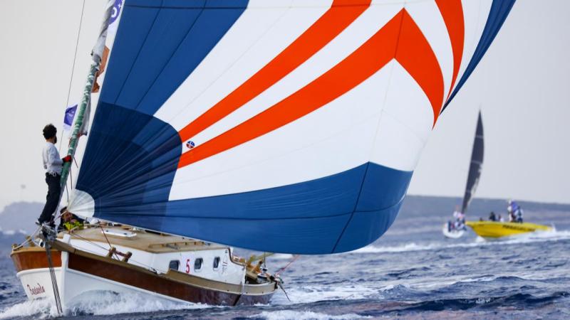 the bodrum cup9